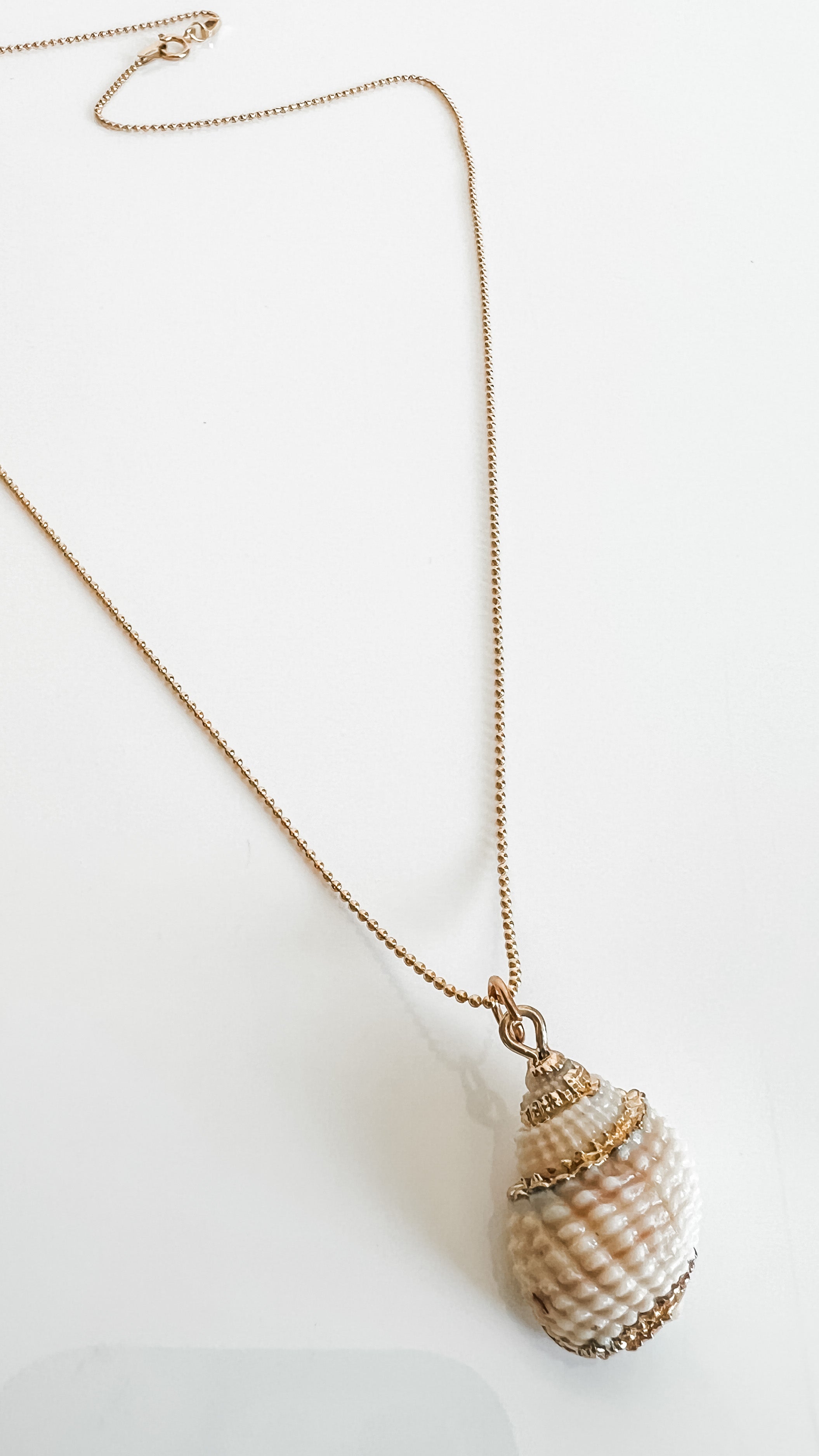 Conch Shell Choker Conch Choker MINI CONCH SHELL NECKLACE