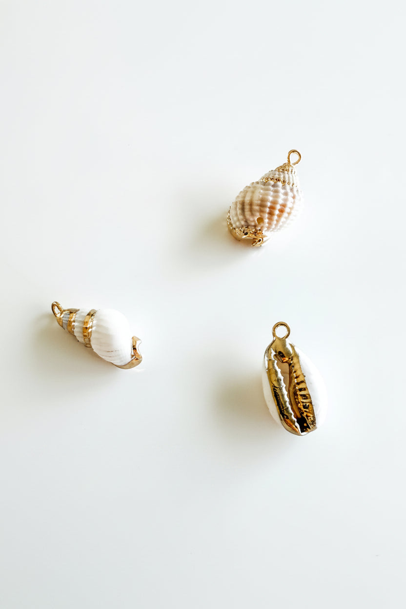 Natural shell charms – Society Nautique