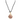 Scallop shell cord