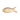 Shell Fish charm