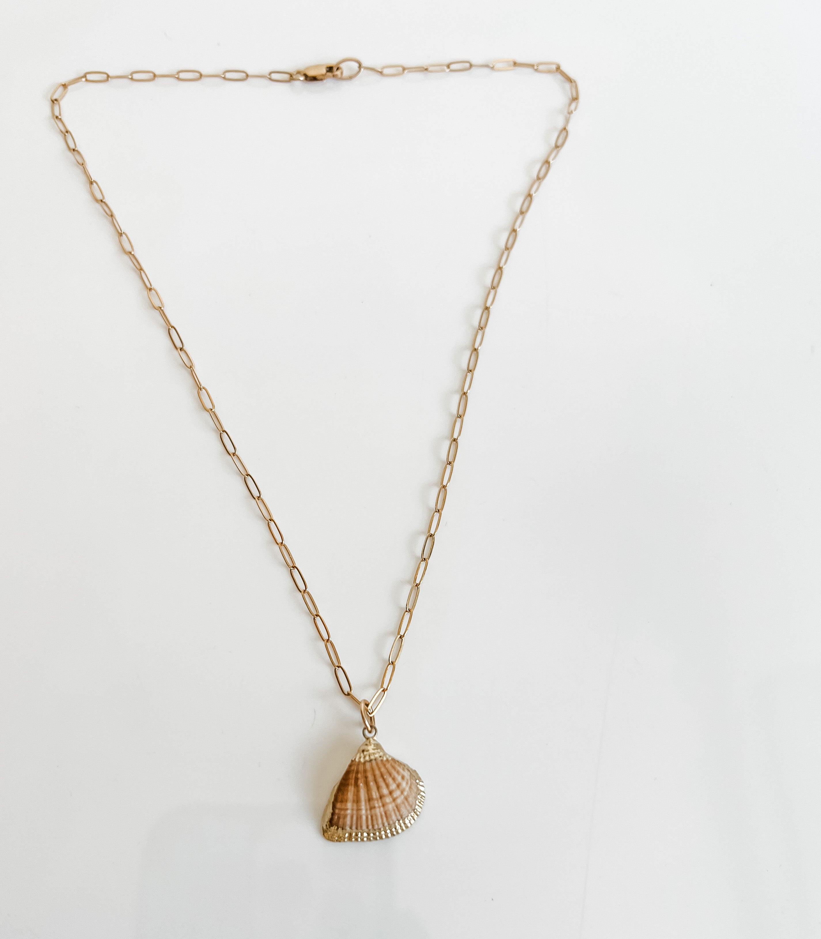 MUSCLE SHELL CHAIN – Society Nautique